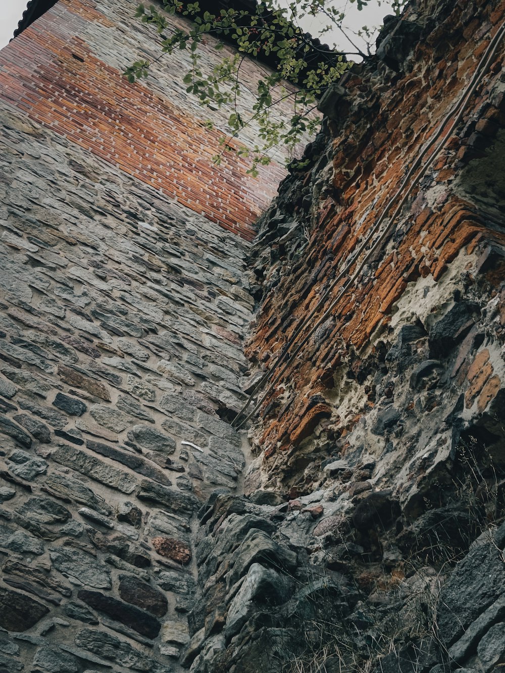 a rocky cliff side