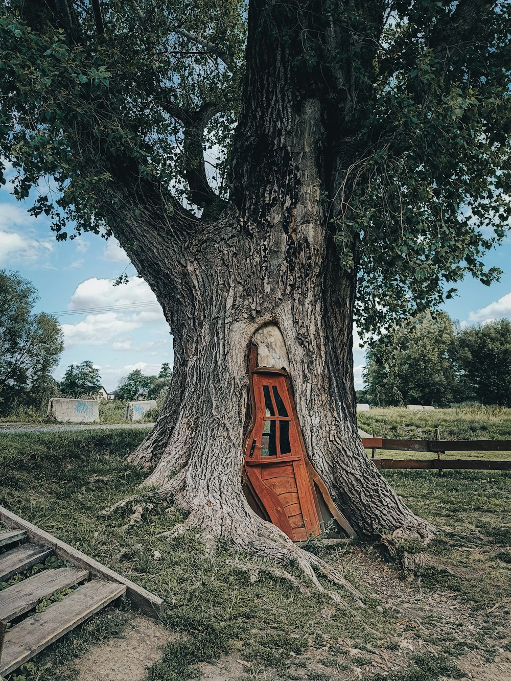 a tree with a small house in the middle of it