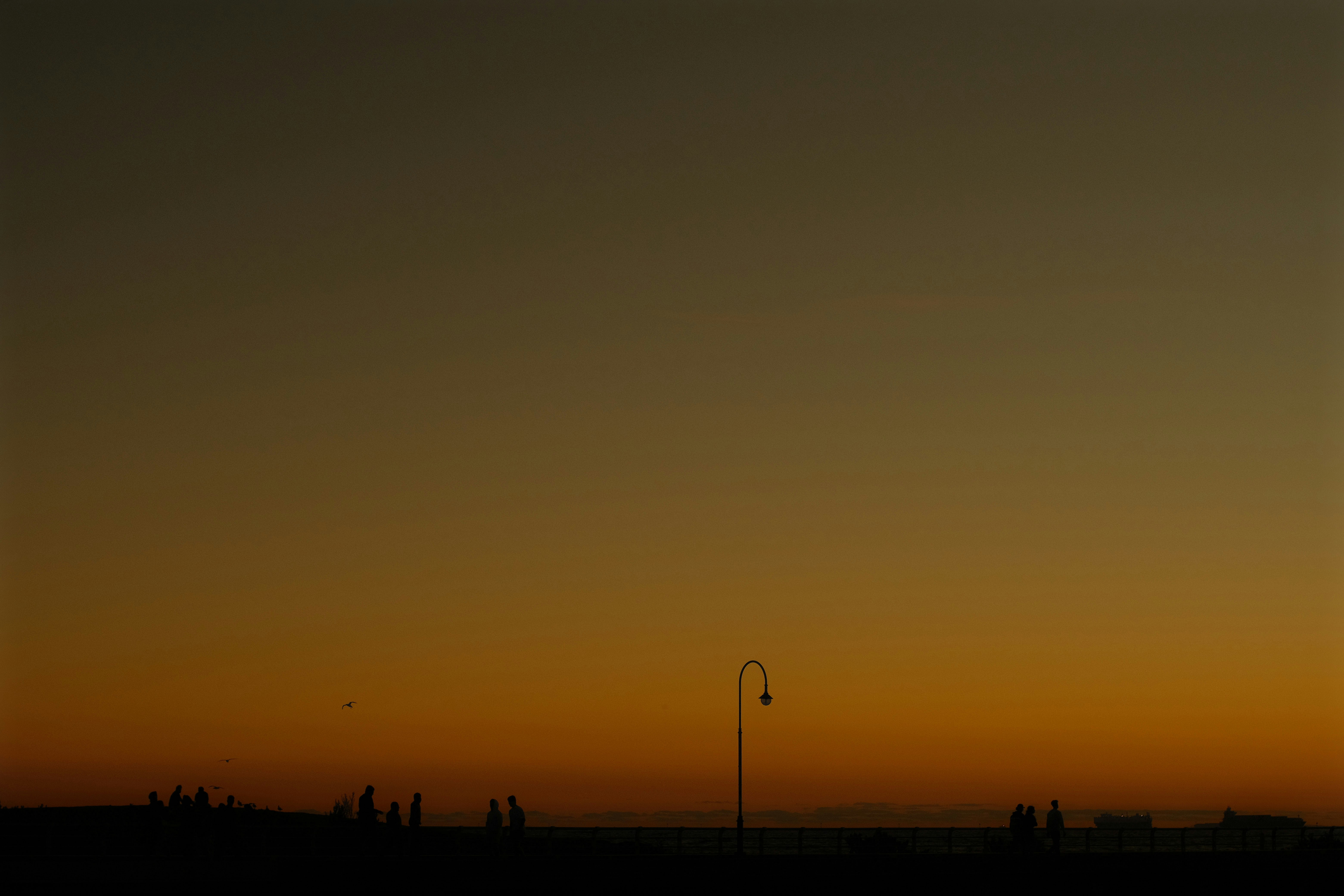 a group of people standing on a beach at sunset