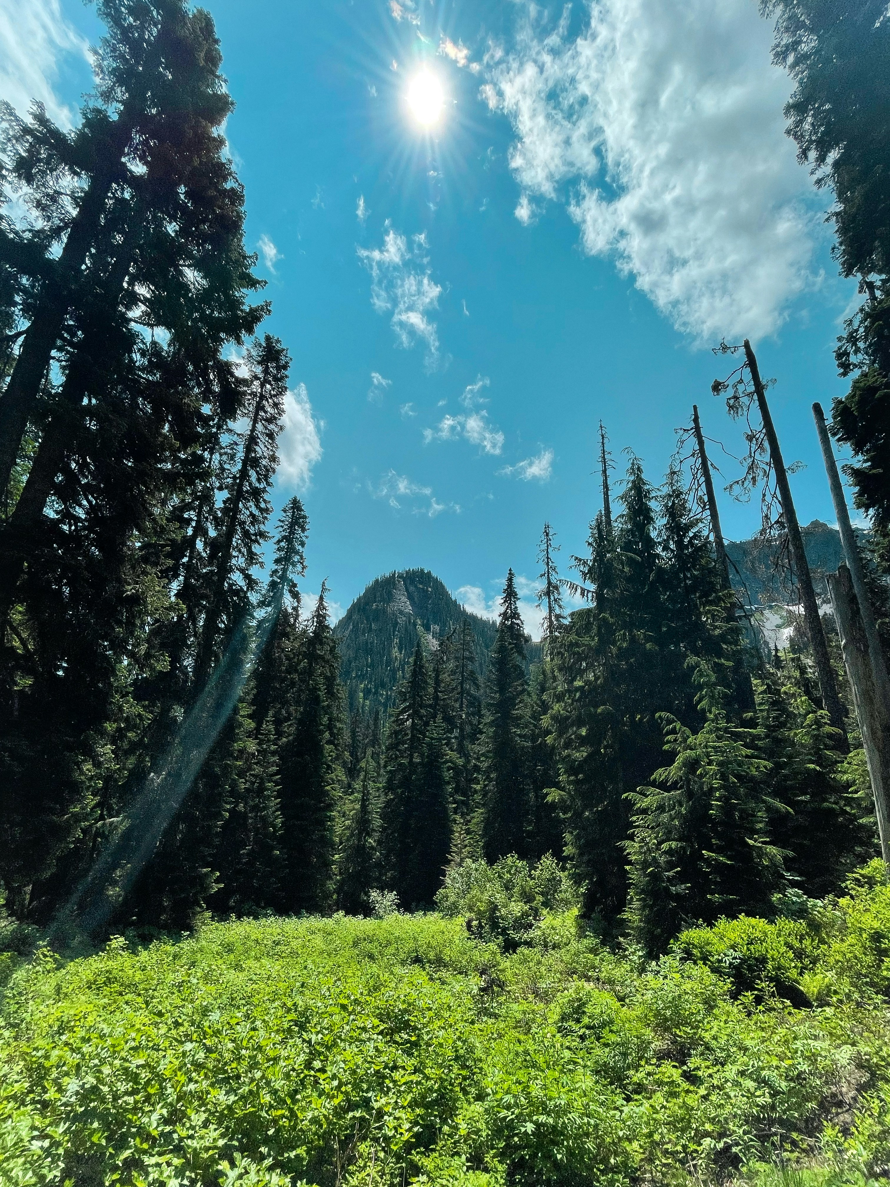 Photo by outlast2021