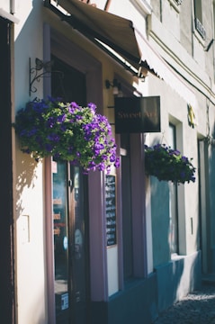 A bustling small business storefront with a 'Sold' sign in front, bathed in warm afternoon light.
