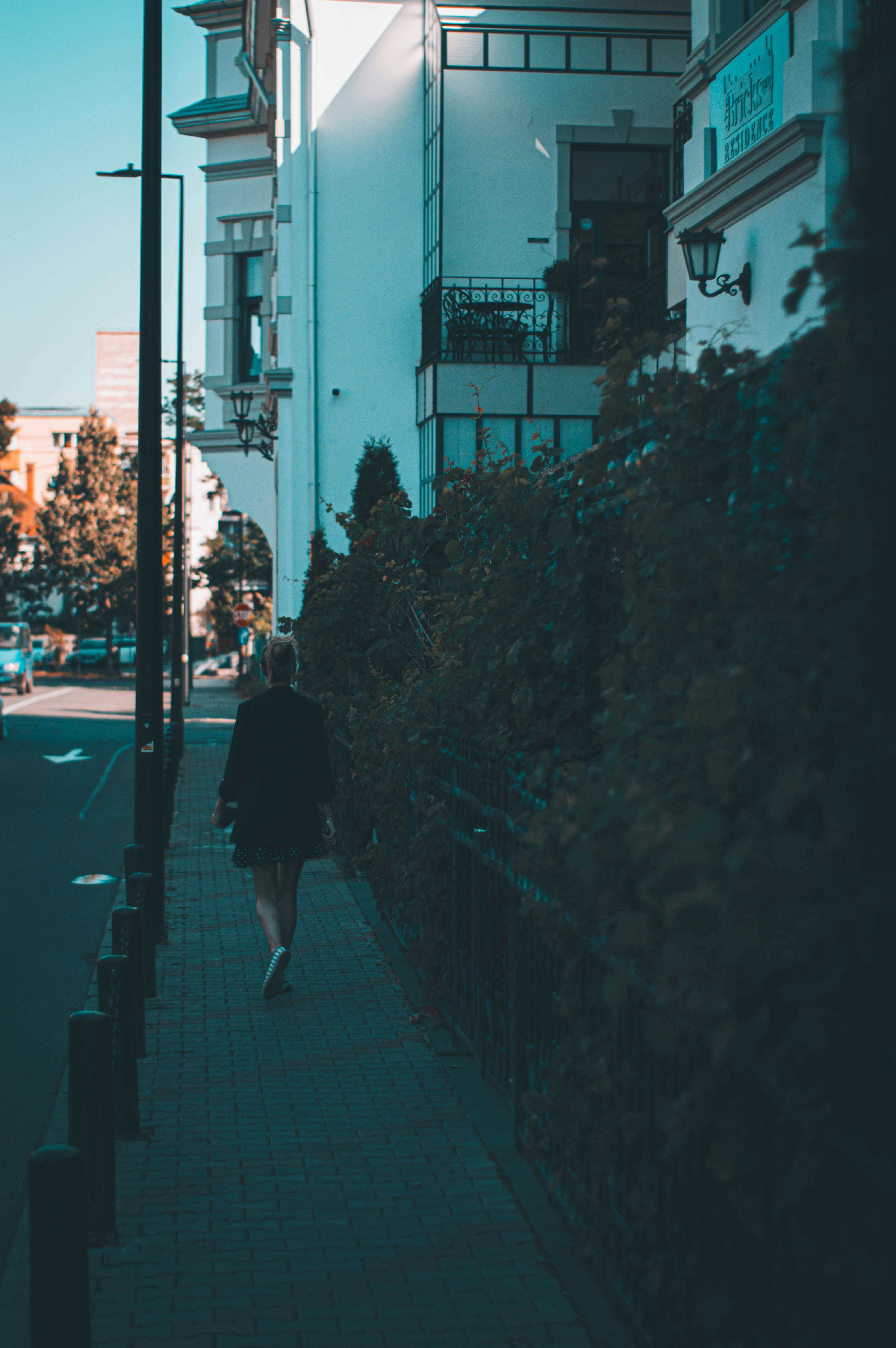 Photo by alex_emanuel20