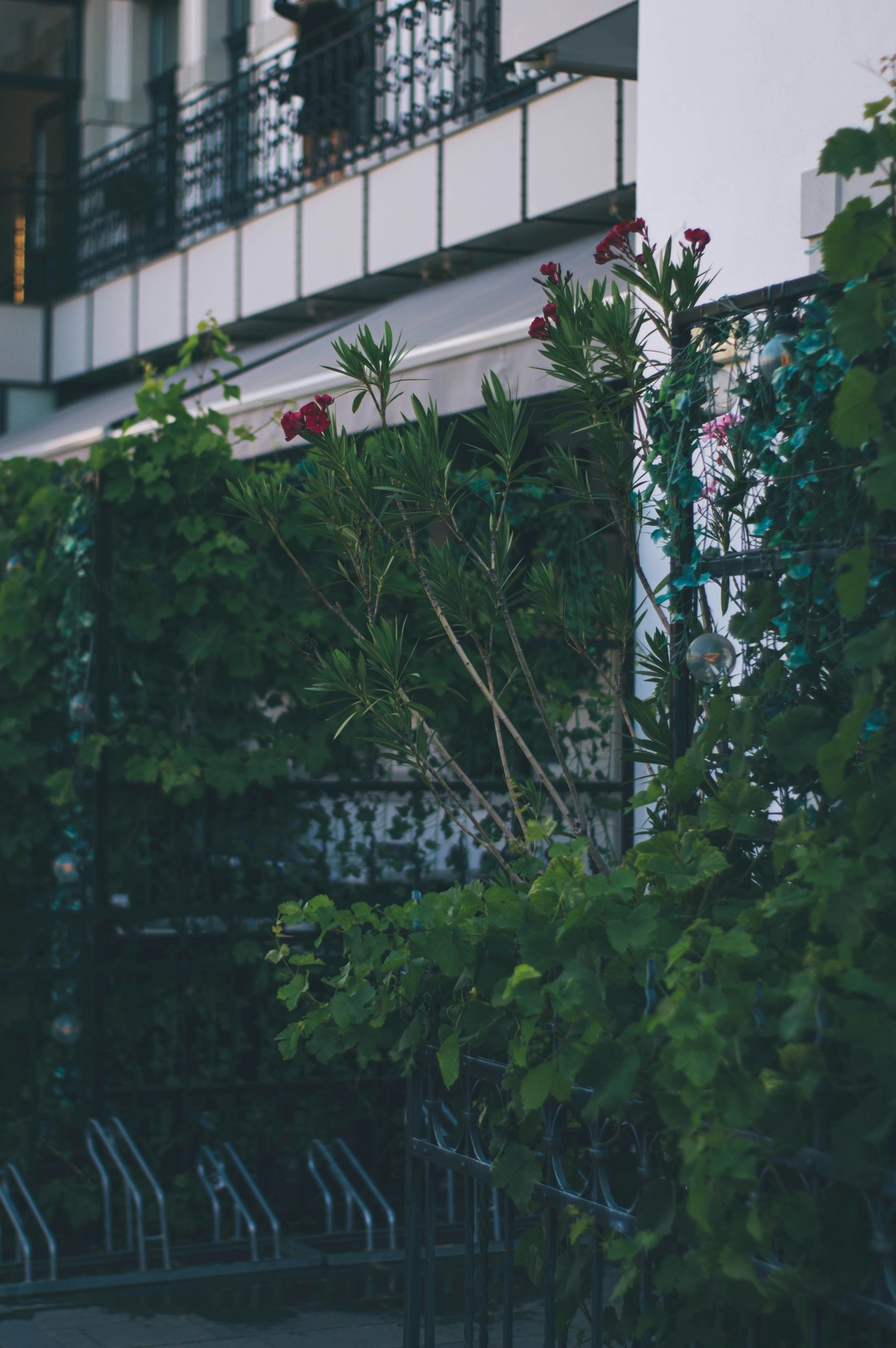 Photo by alex_emanuel20