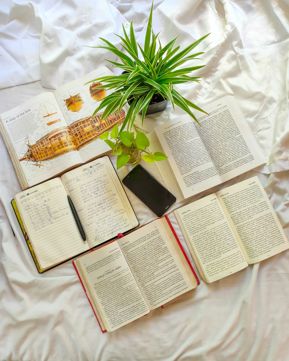 a plant on a table