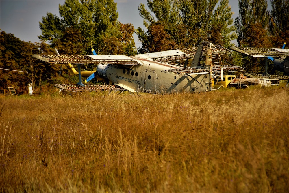 a plane on the ground