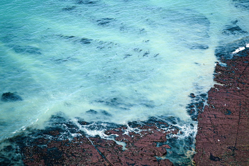 a body of water with rocks and a beach