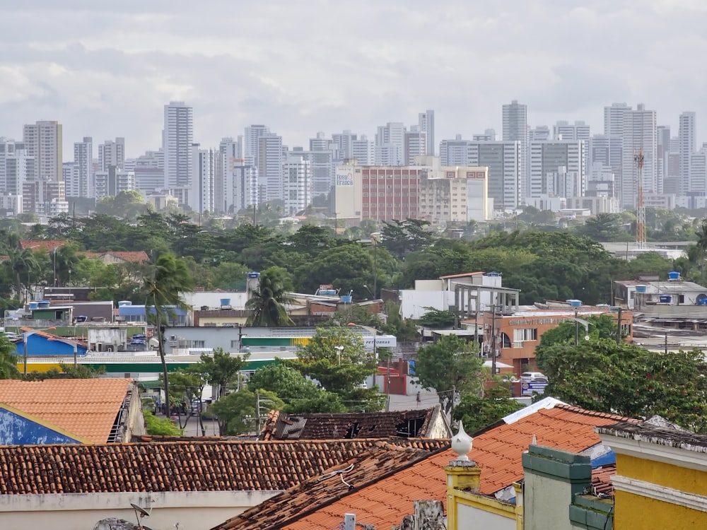 a city with many buildings