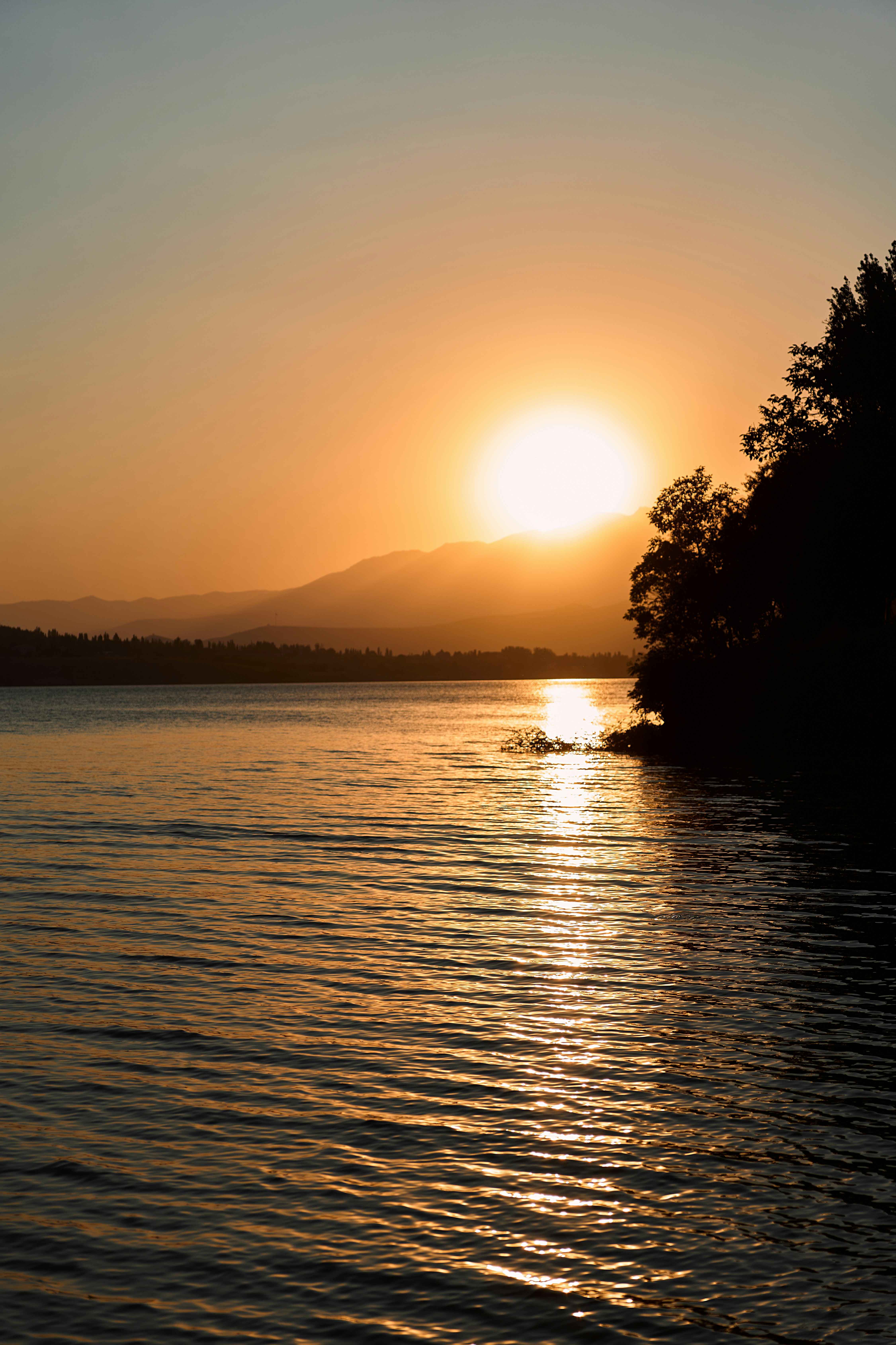 Photo by evanklimchuk