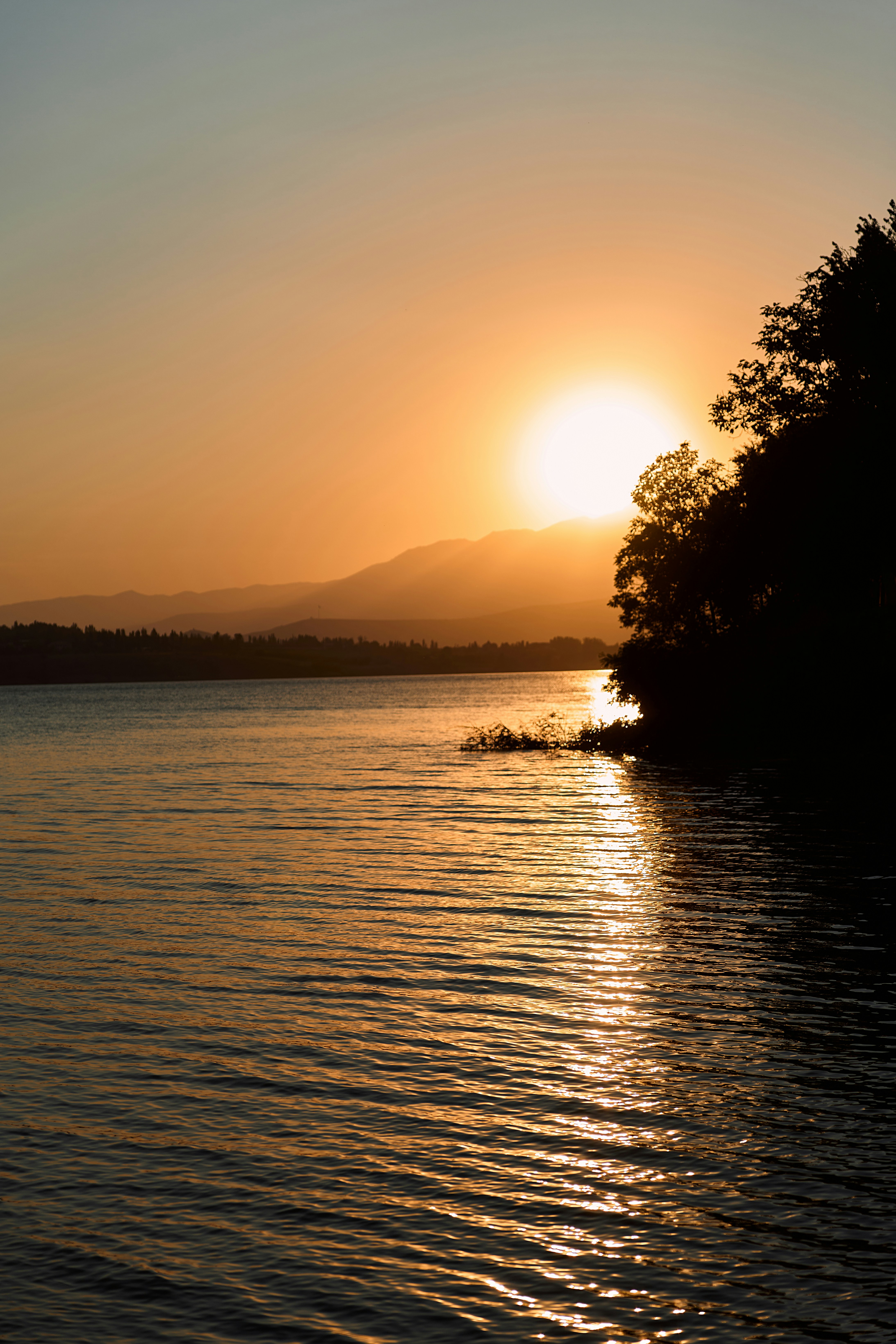 Photo by evanklimchuk