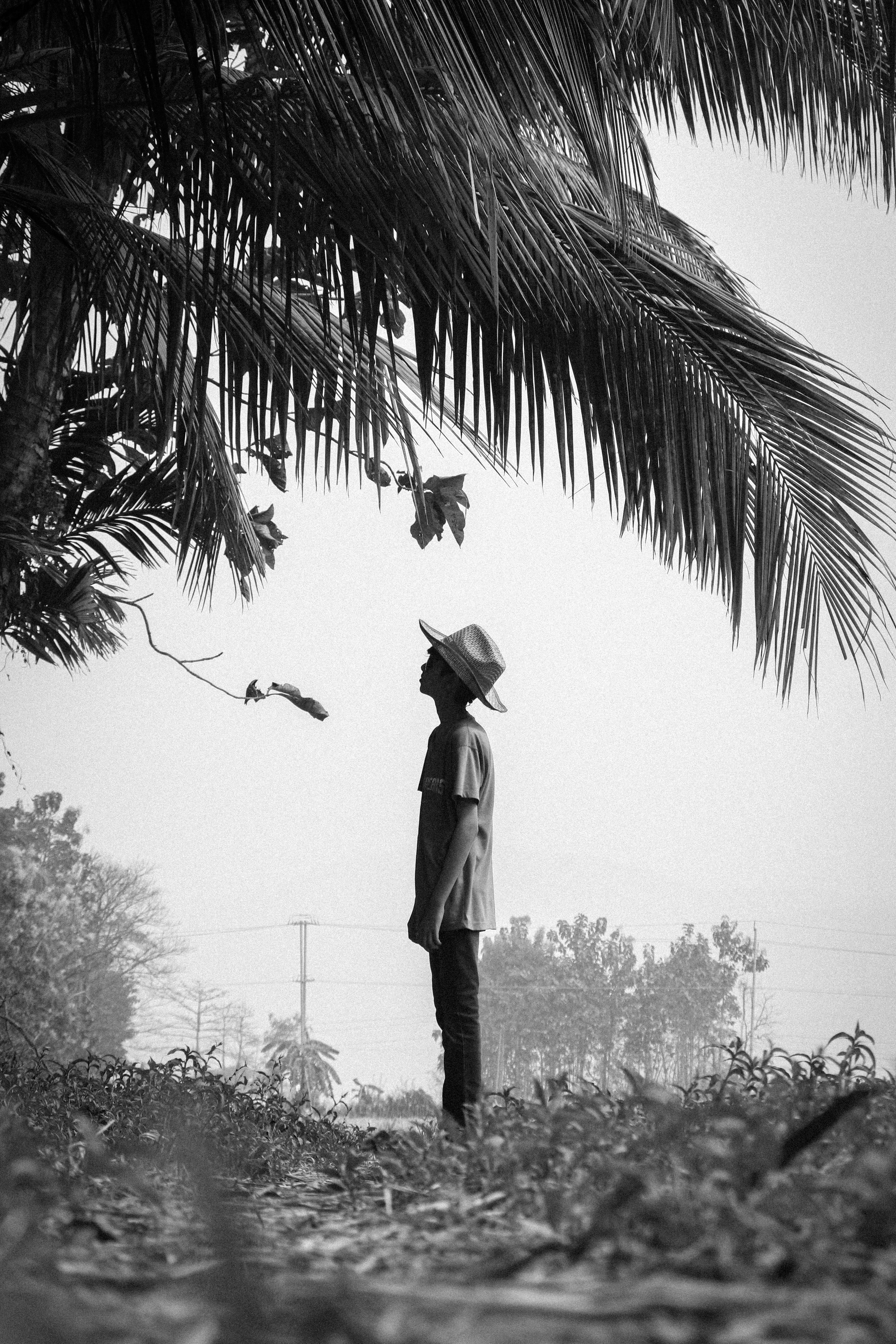 Photo by clynt