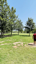 A person enjoying a peaceful walk through a green park on a sunny day.