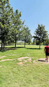 A person enjoying a peaceful walk through a green park on a sunny day.