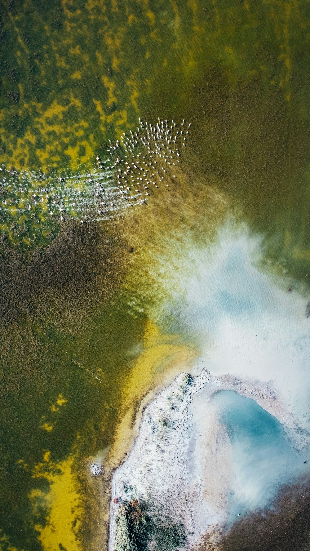 a waterfall with yellow and green leaves