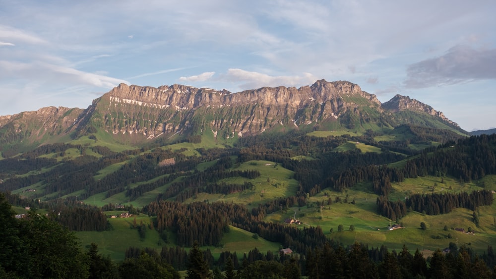 a valley with trees and mountains in the background