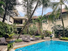 A serene hotel pool area with lounging chairs and tropical plants.