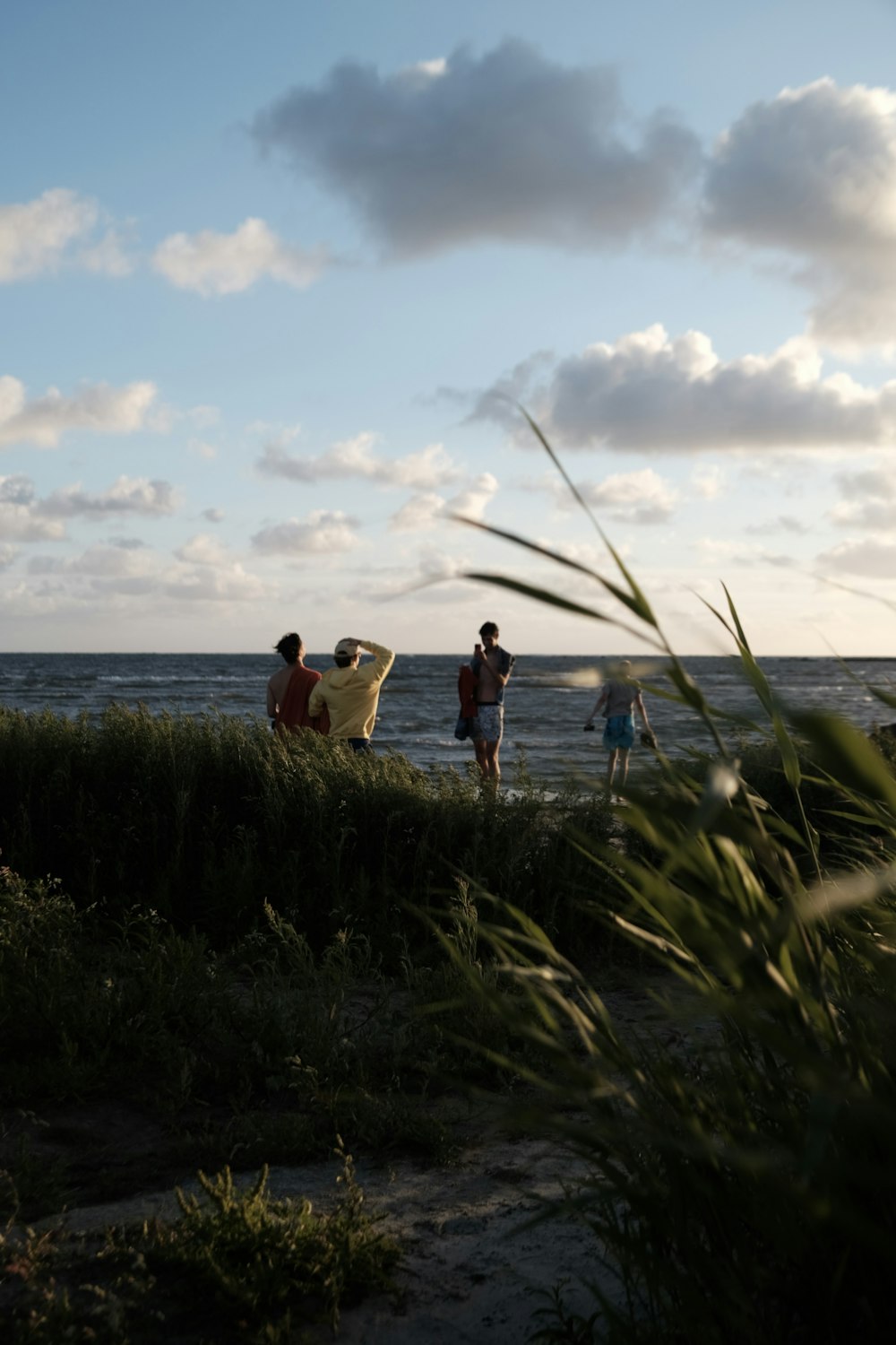 a group of people standing on a beach