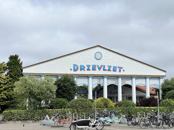 Vis-Rijstschotel met Dille