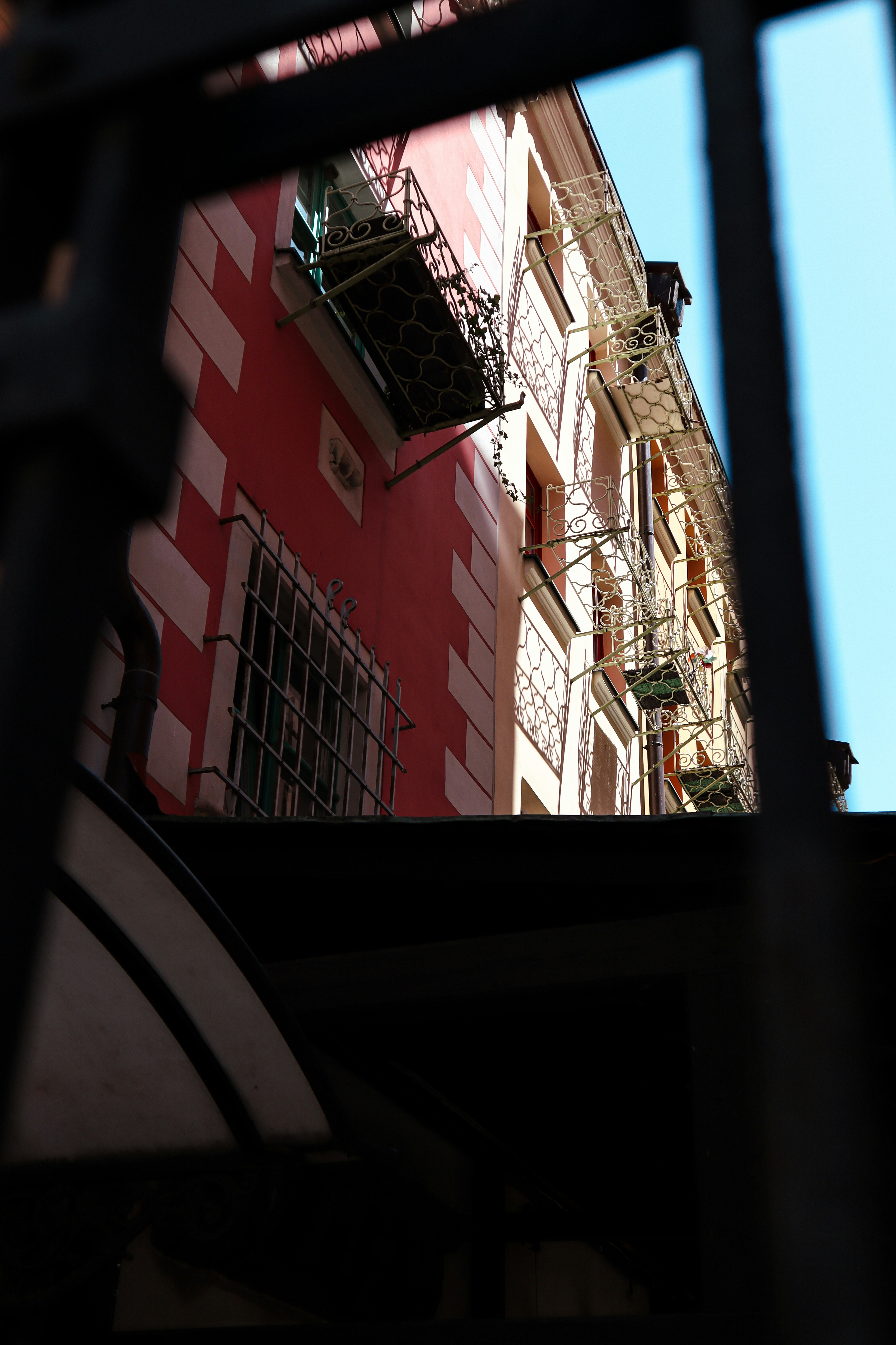 Photo by zmpp