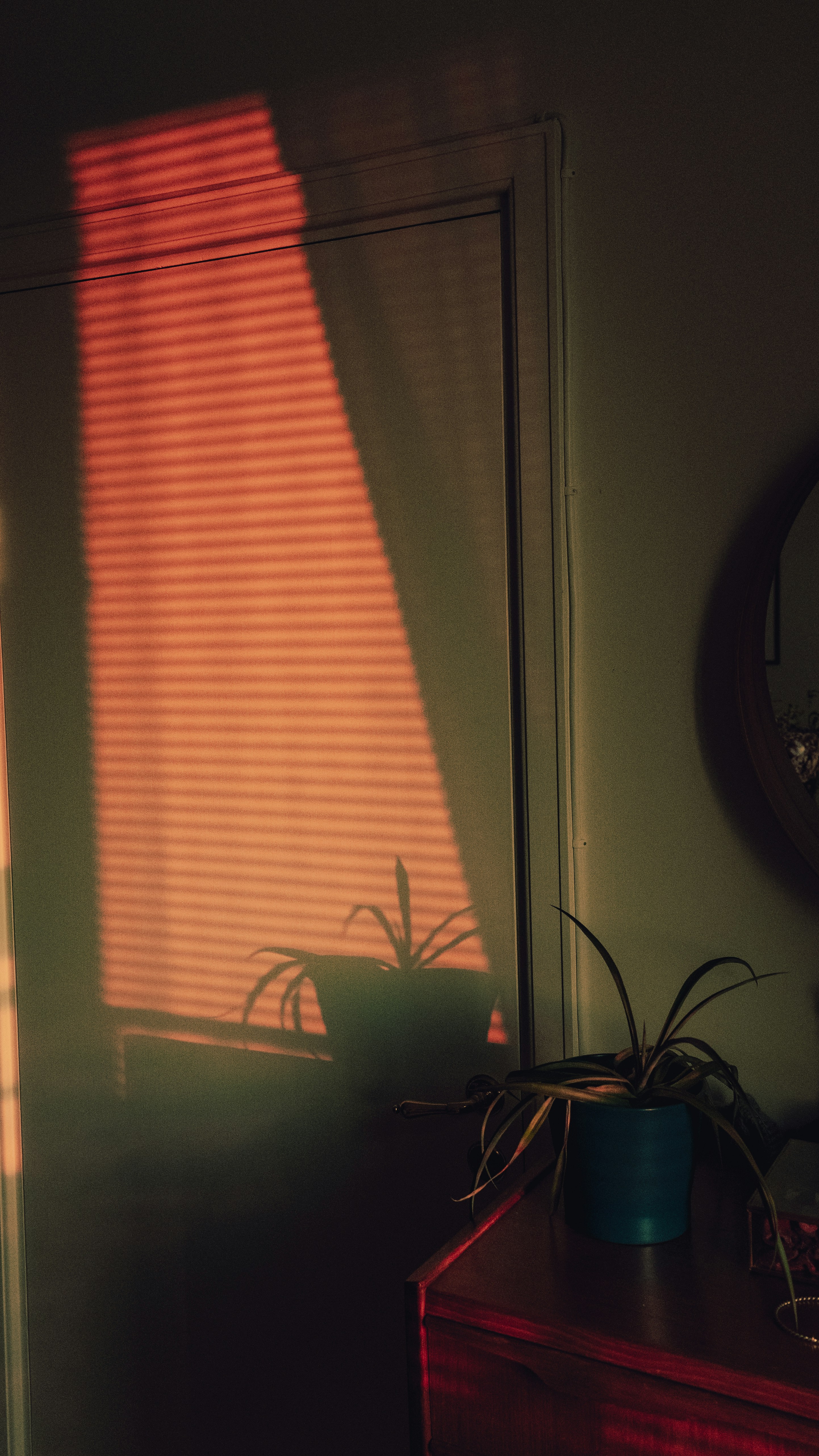 Photo by karljkhedin