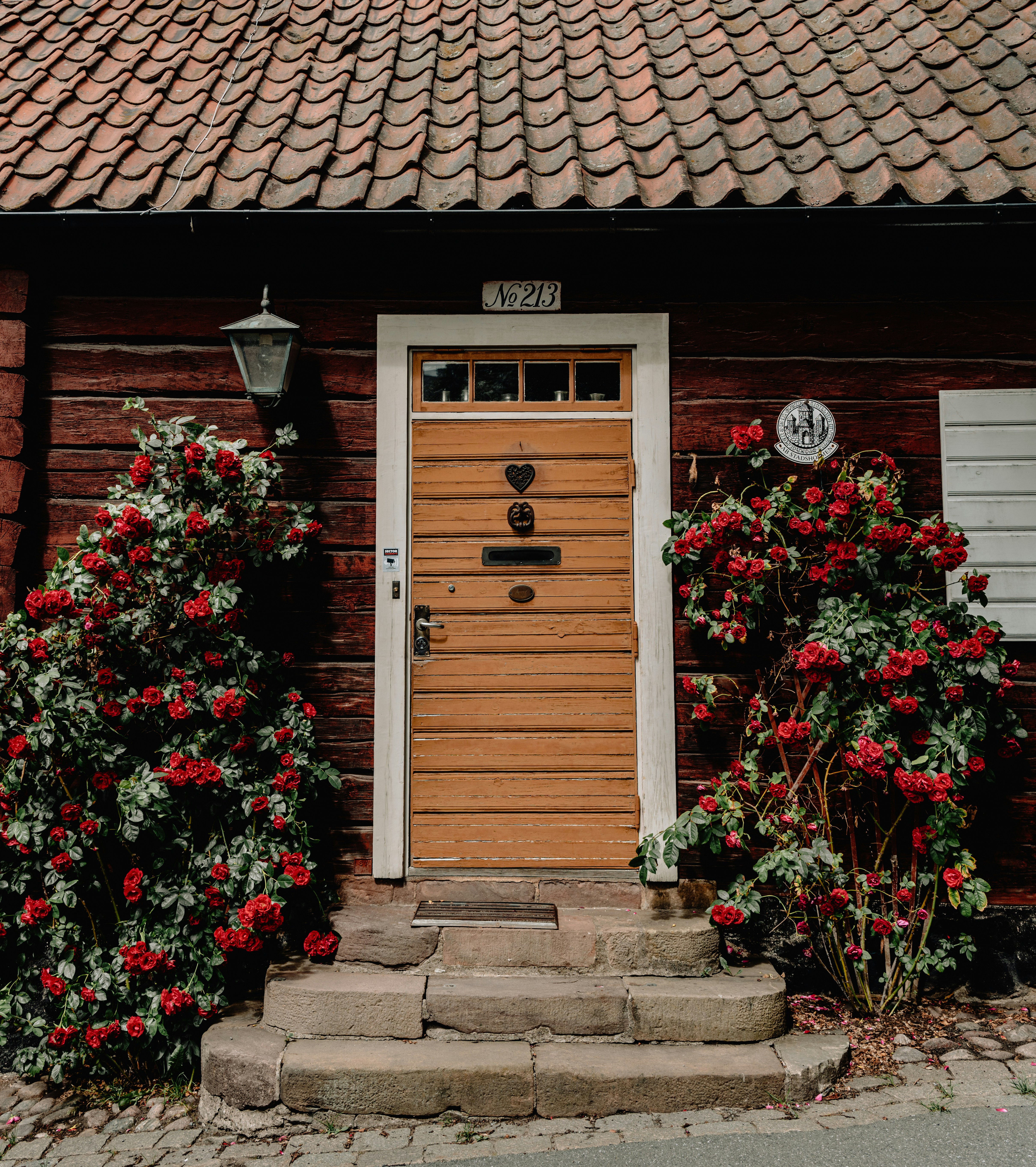 Photo by karljkhedin