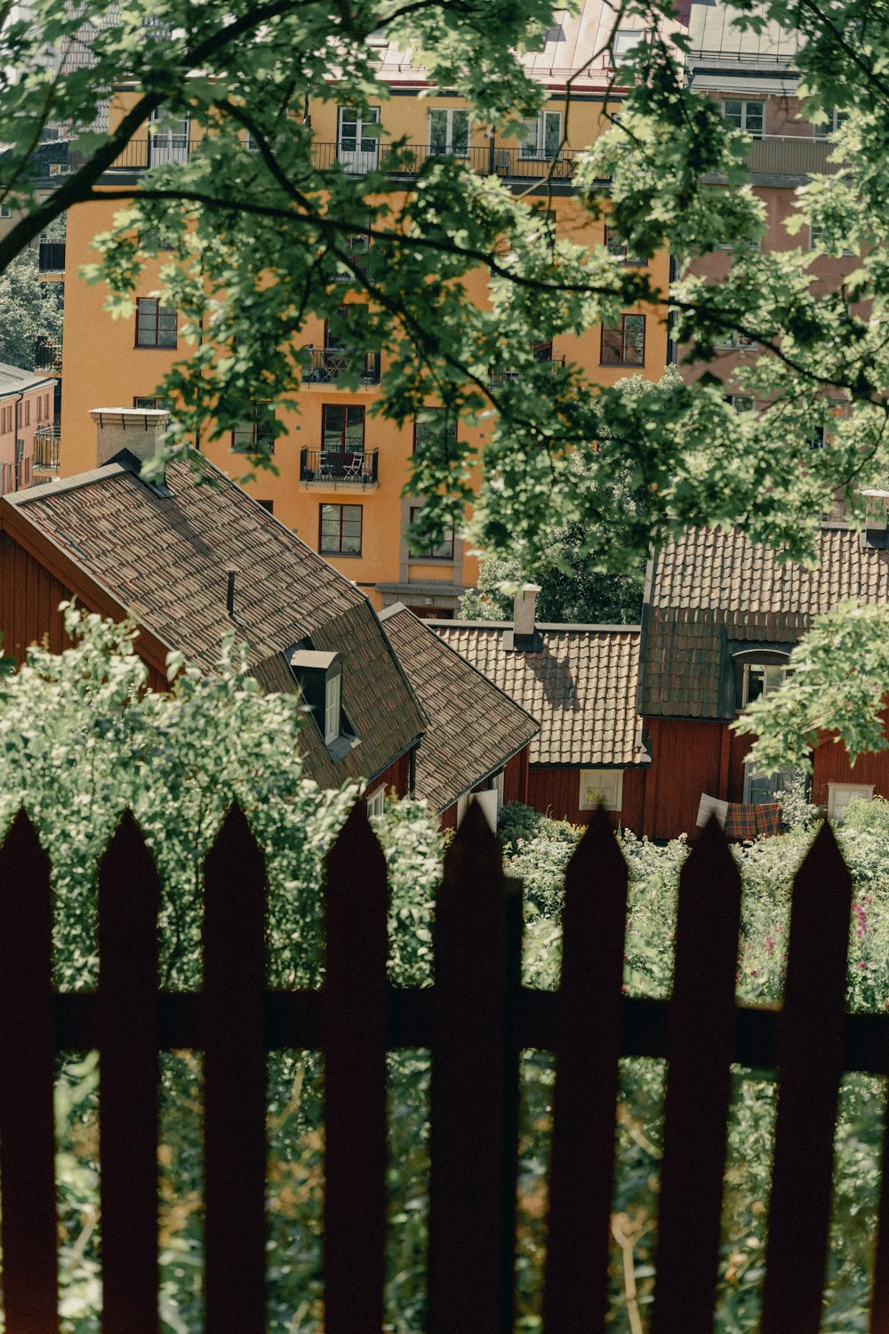 a fenced in yard with a house in the background