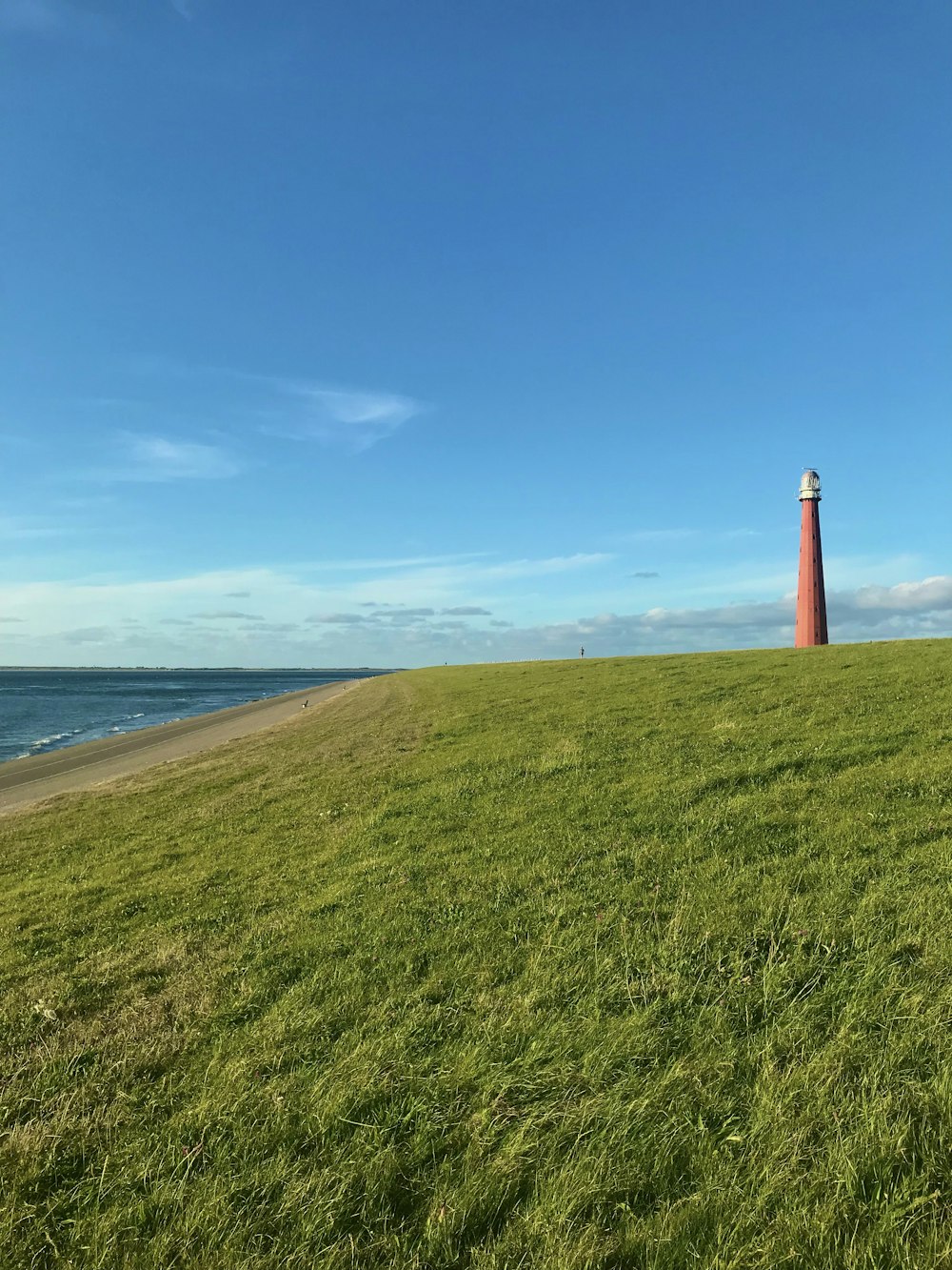 a grassy area with a lighthouse in the distance