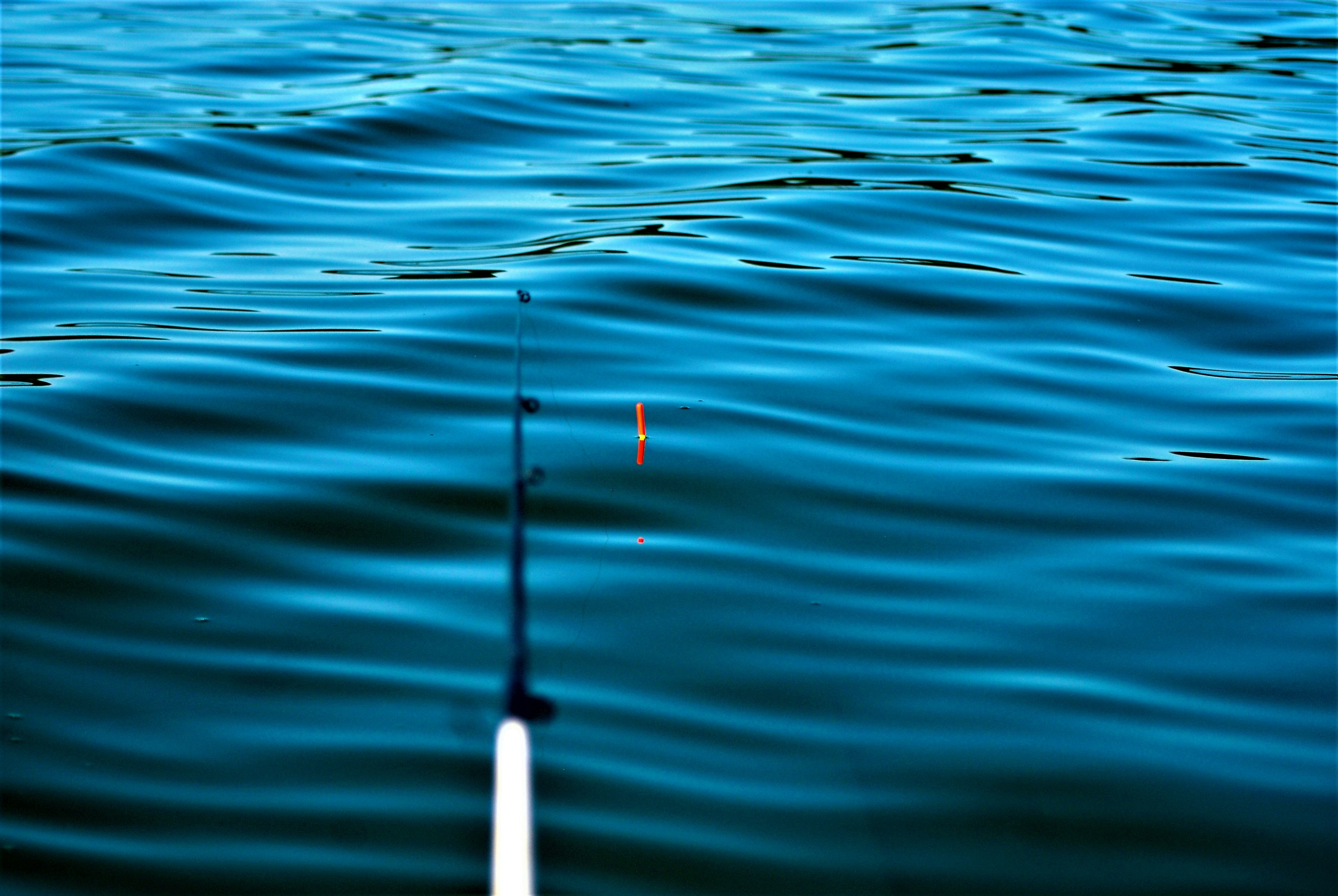 a pole in the water