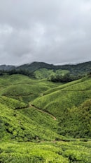 Vagamon