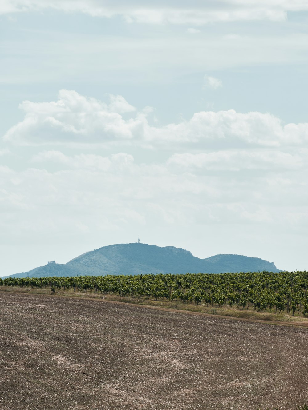 a dirt road with trees and mountains in the background