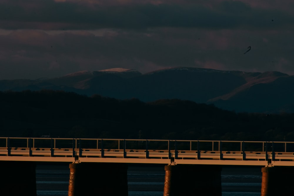 a bird flying over a bridge