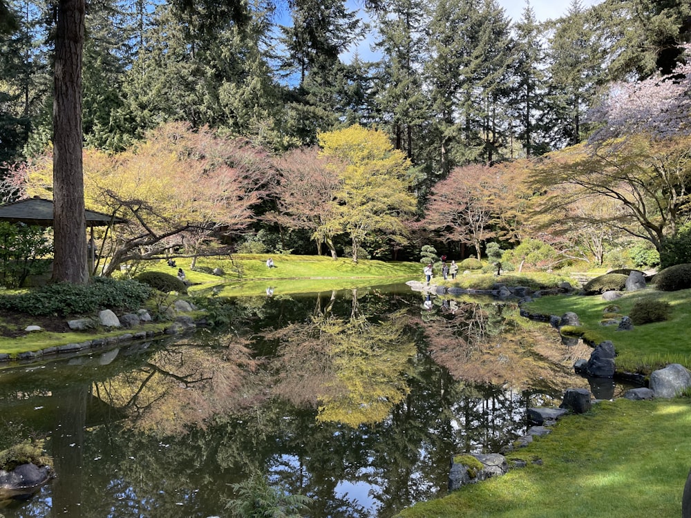 a pond with a grass lawn and trees around it