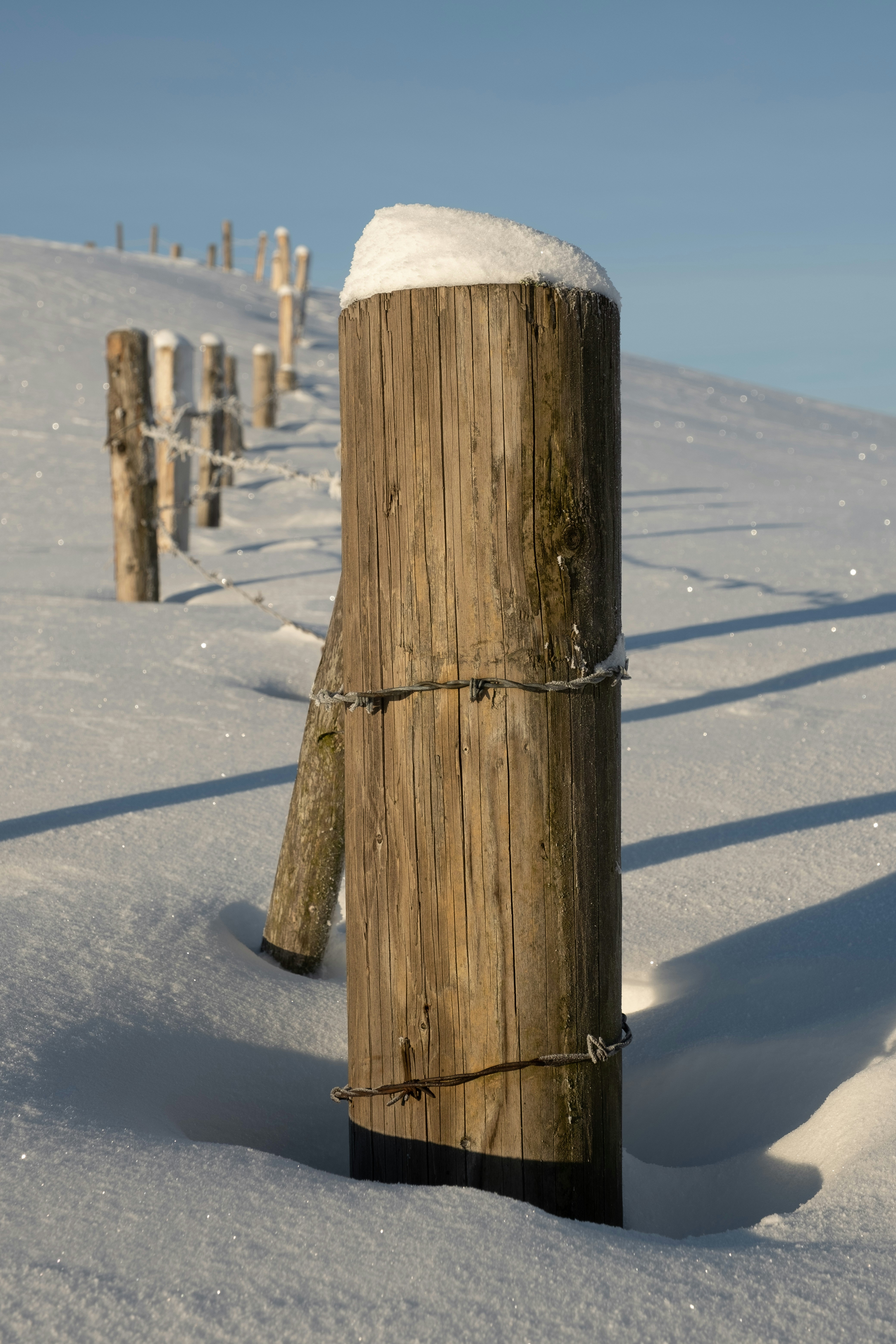 Photo by fabianbetto