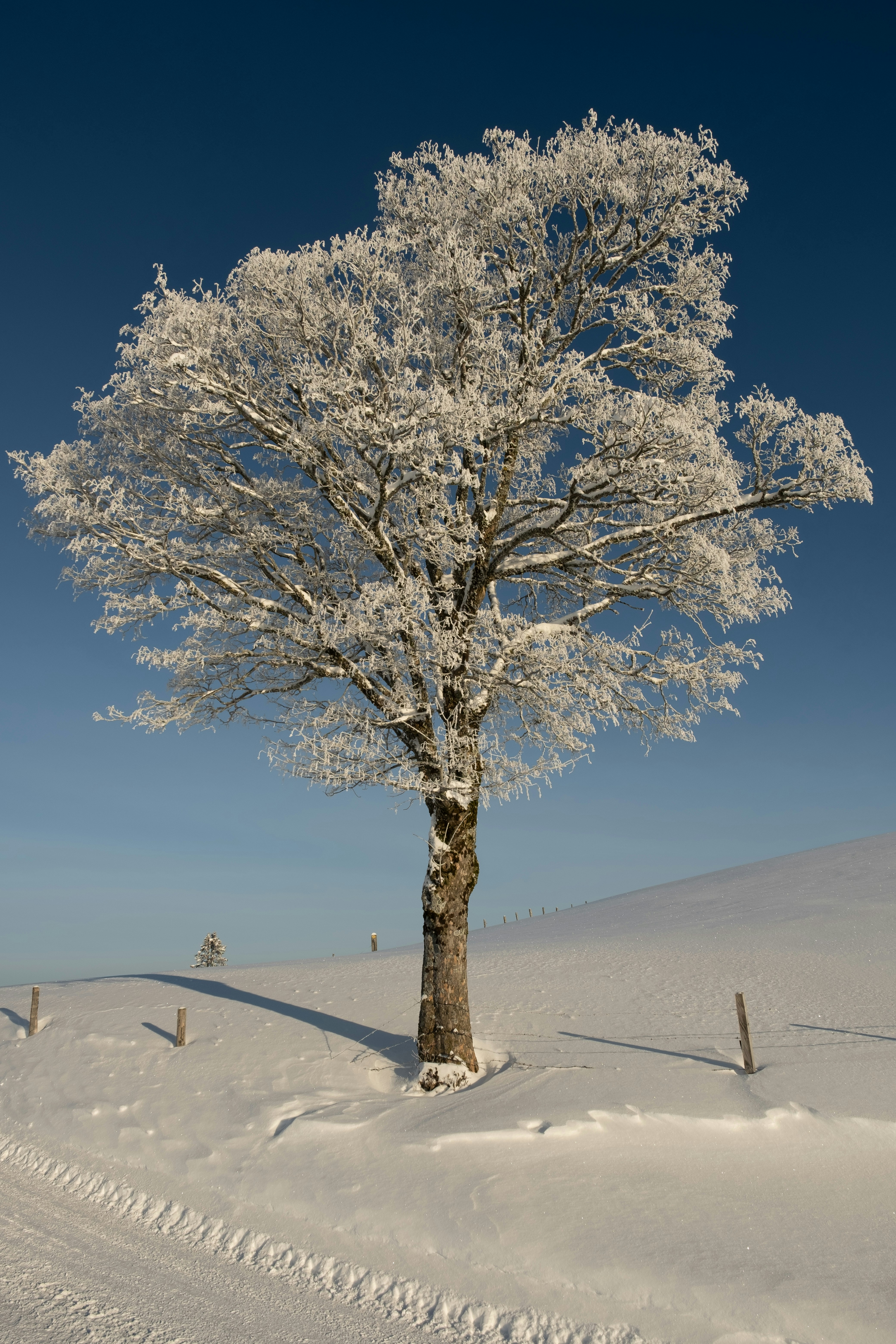 Photo by fabianbetto