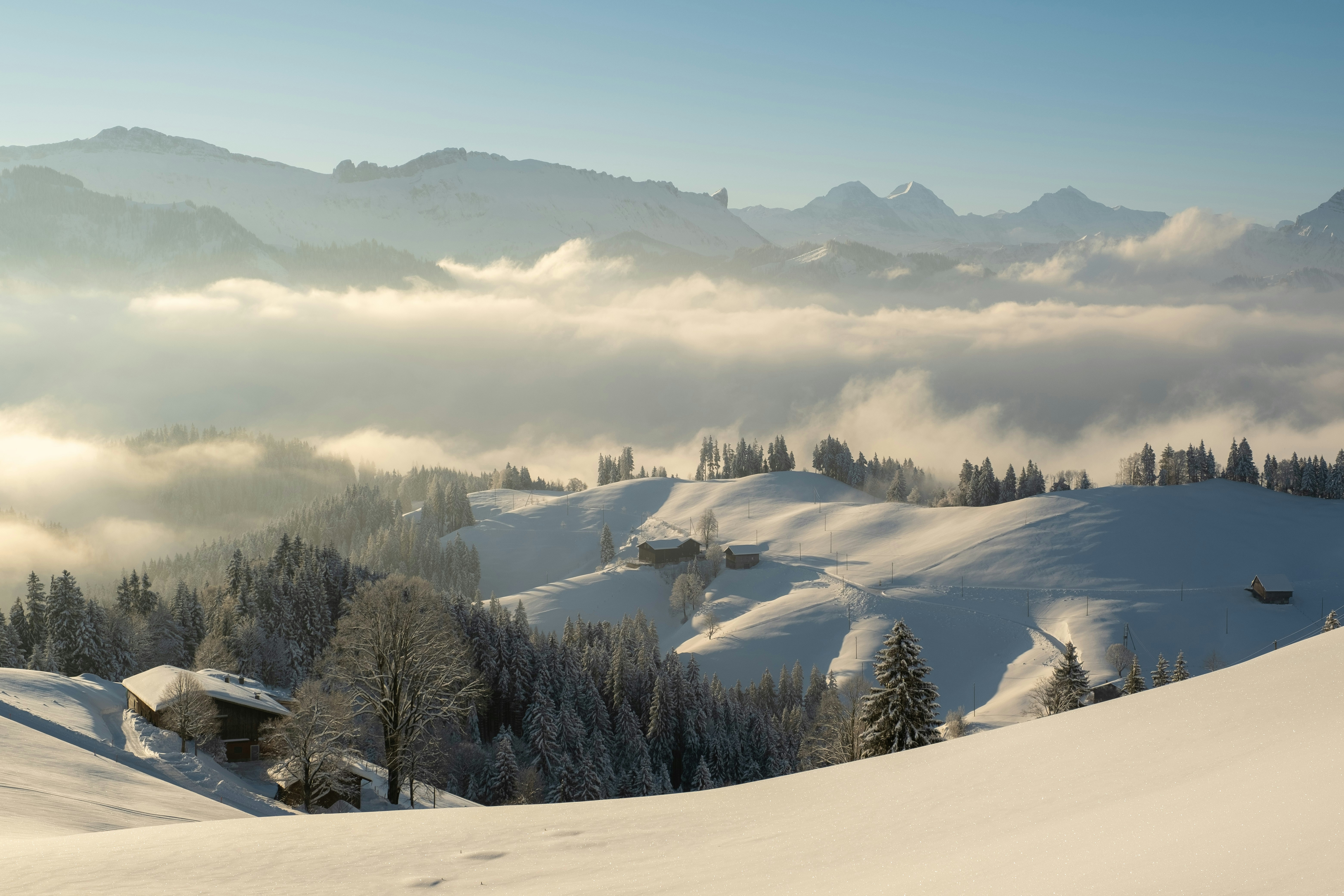 Photo by fabianbetto