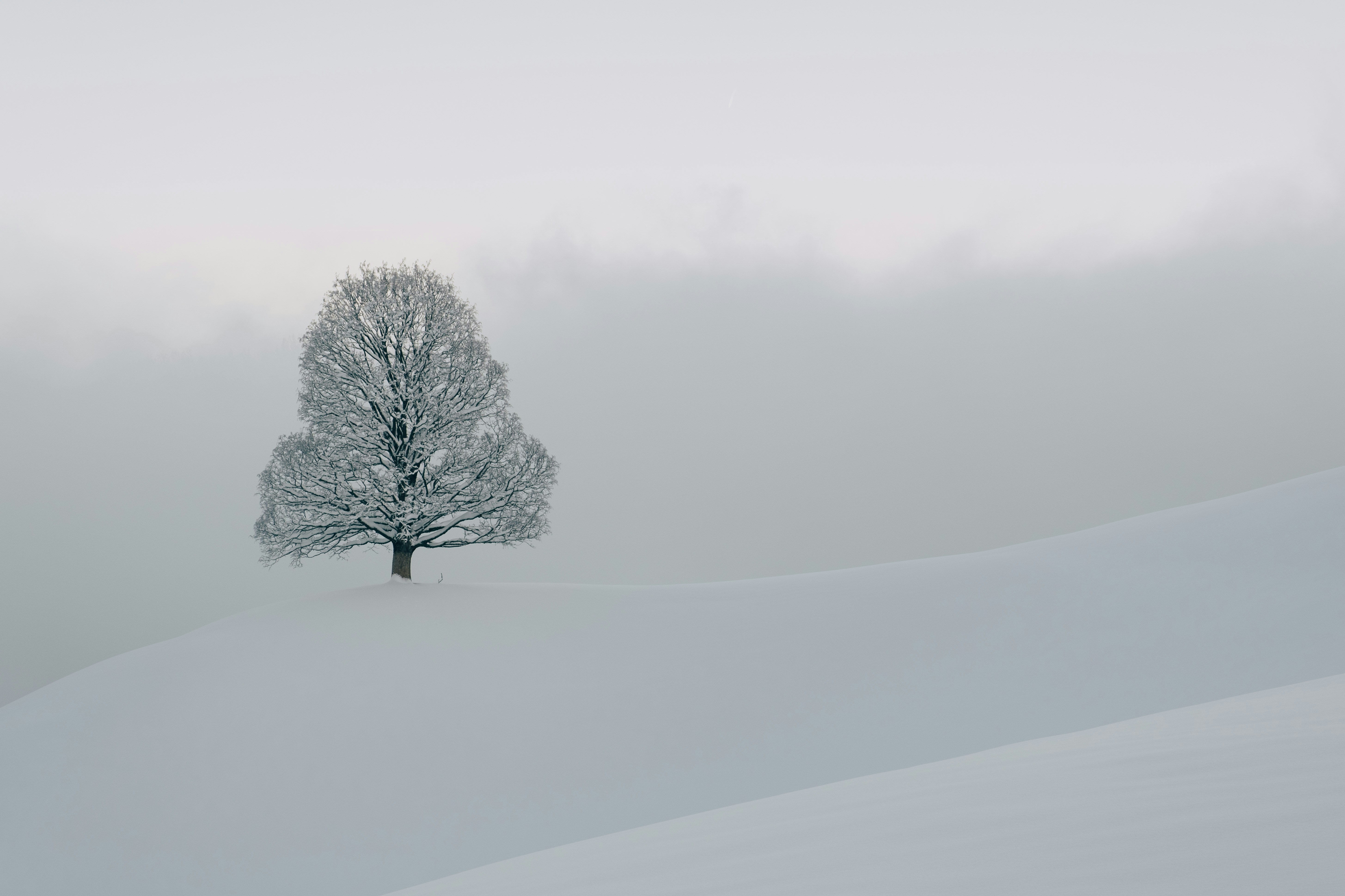 Photo by fabianbetto