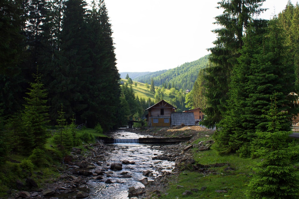 a house on a river in a forest