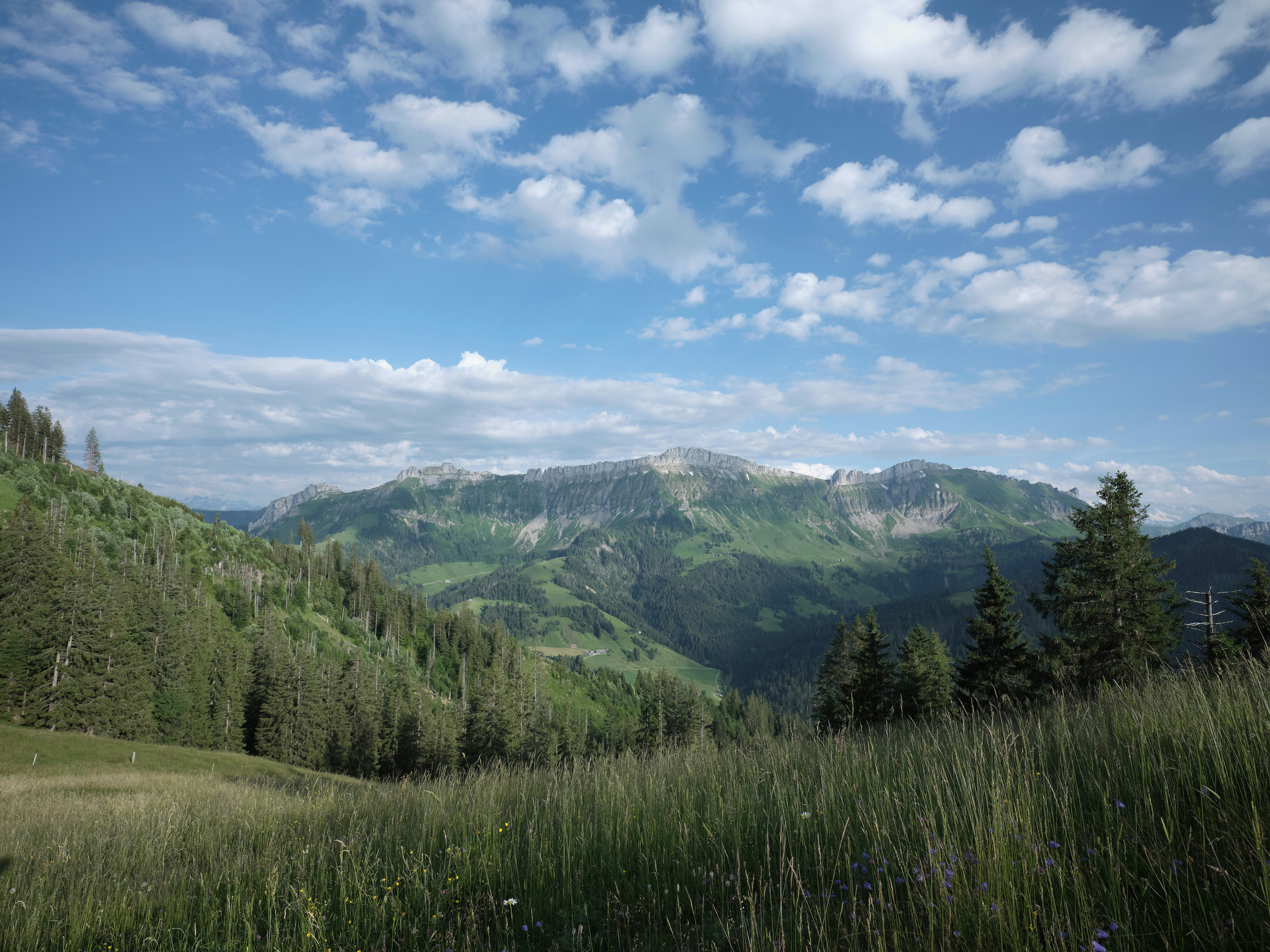 Photo by fabianbetto