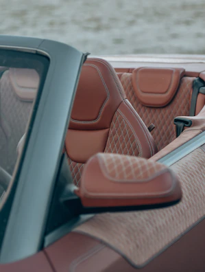 Detailer carefully cleaning the leather interior of a high-end convertible.