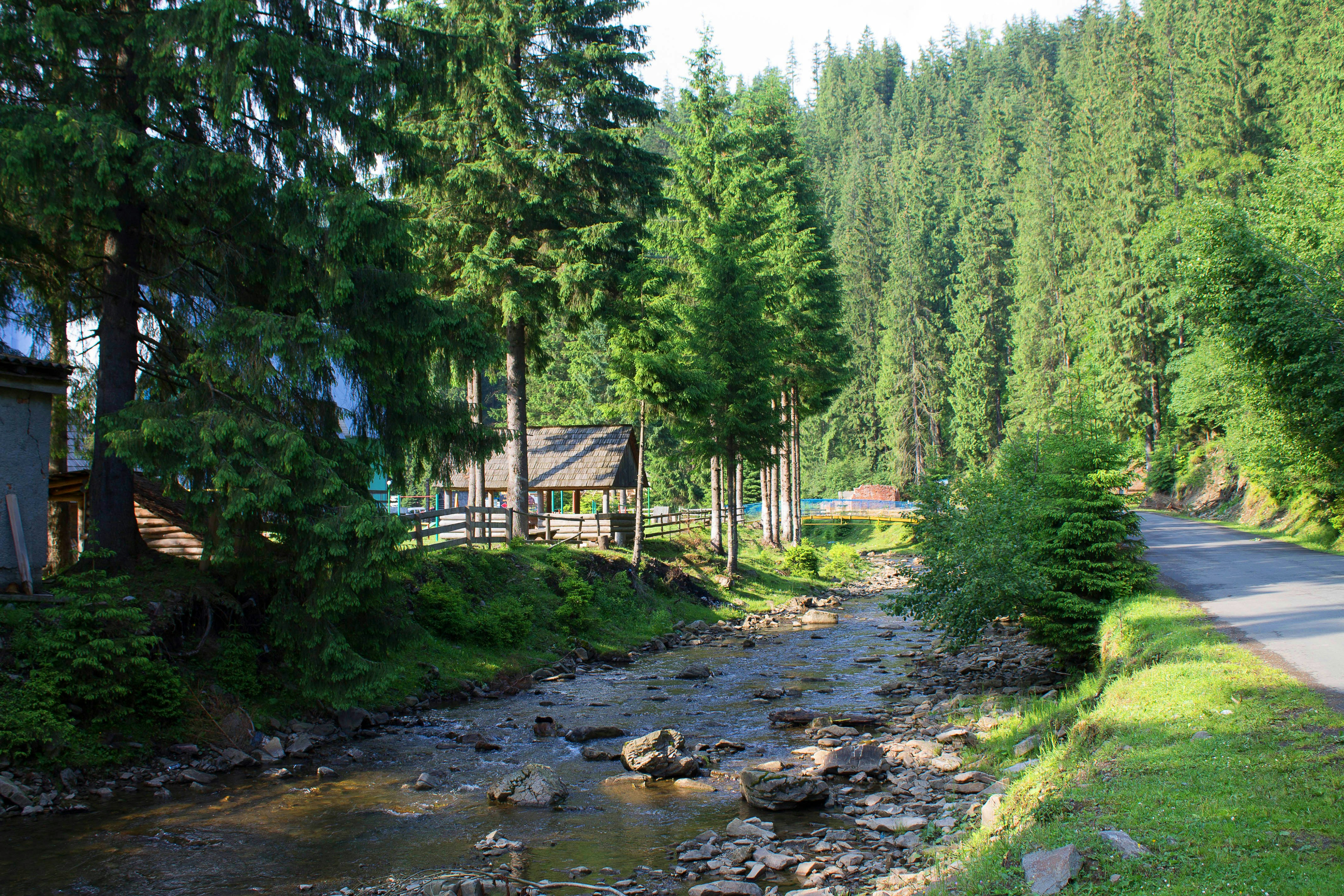 Photo by kvitka