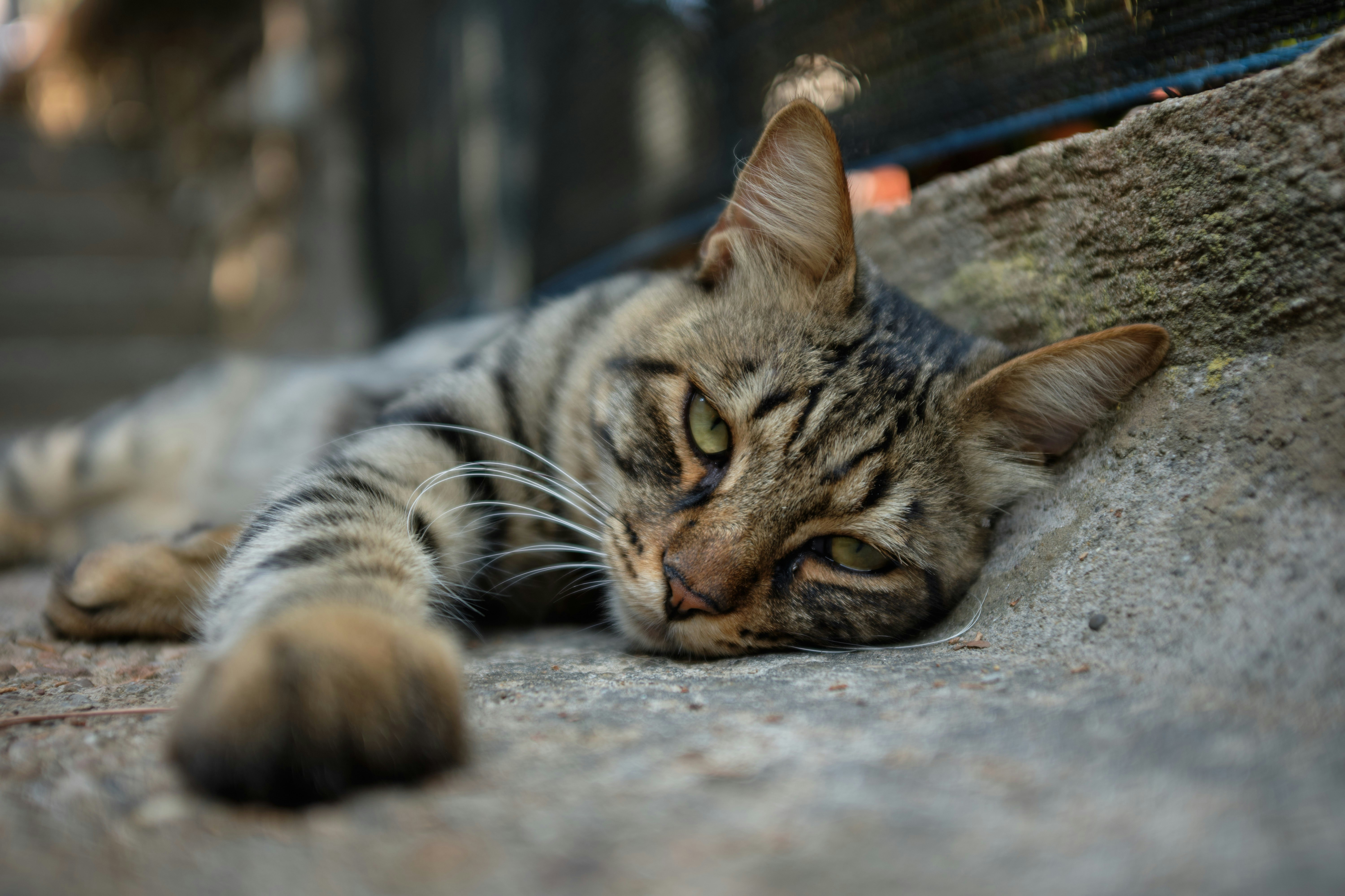 Photo by fabianbetto