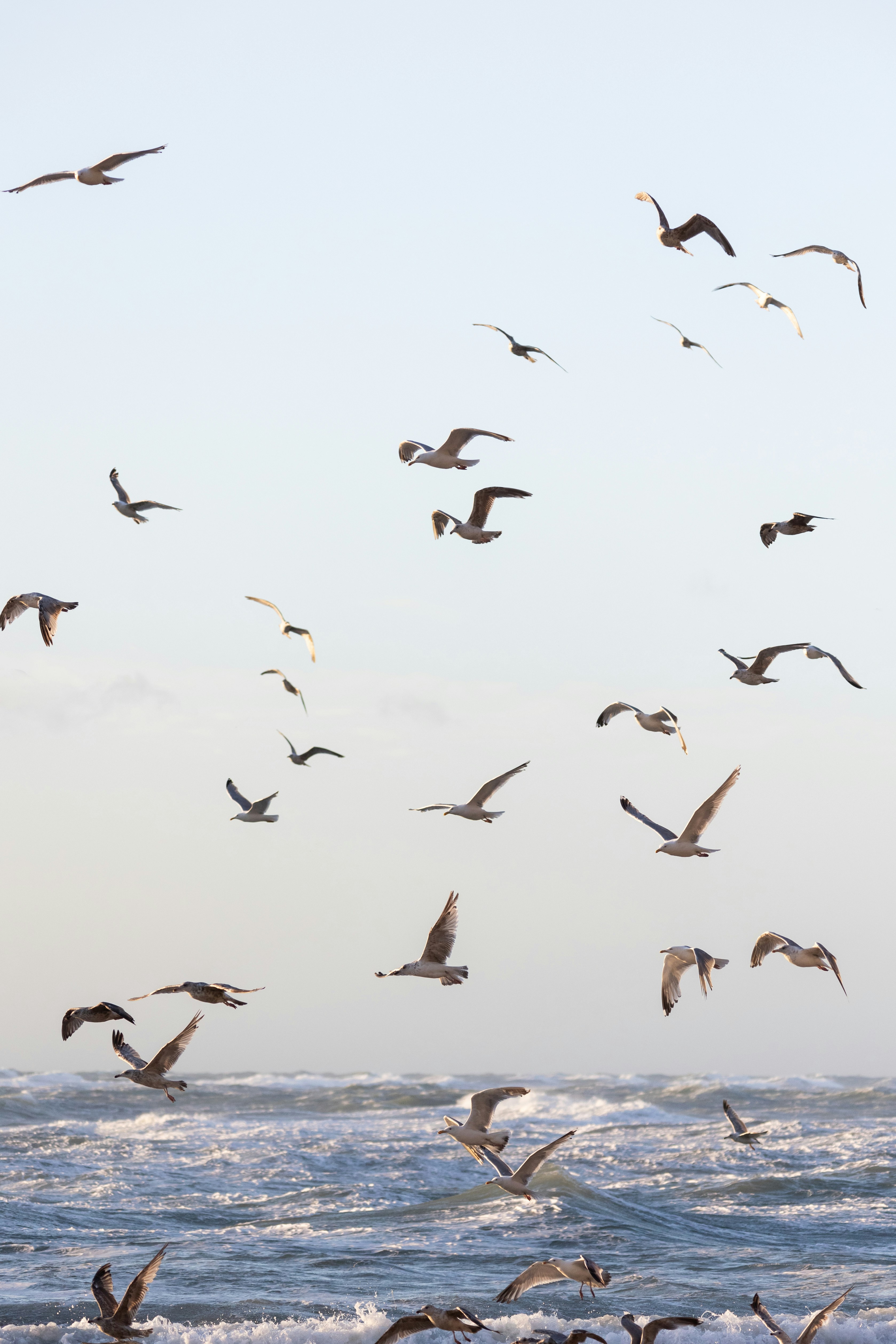 Photo by fridalannerstrom