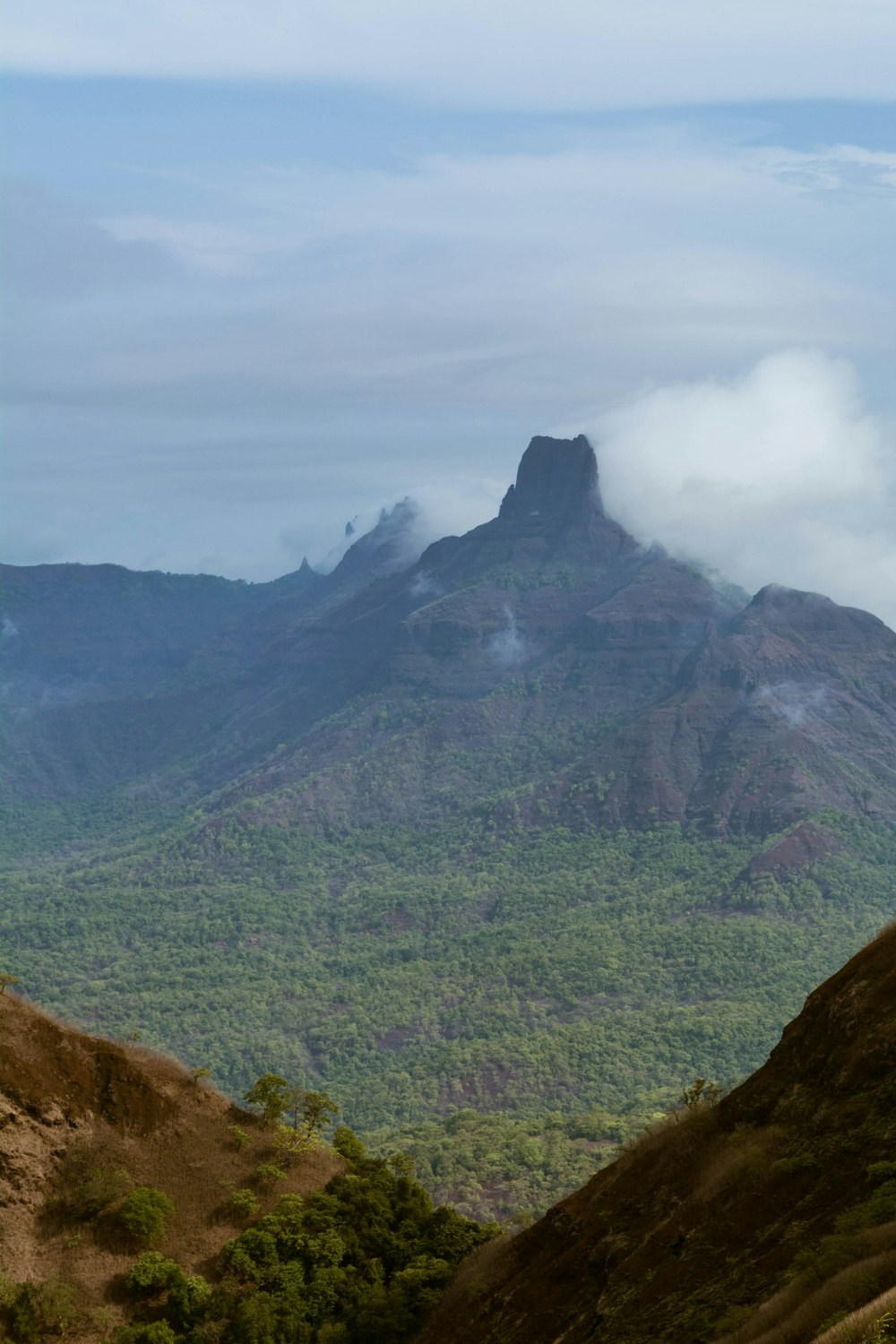 a mountain with trees and a valley below