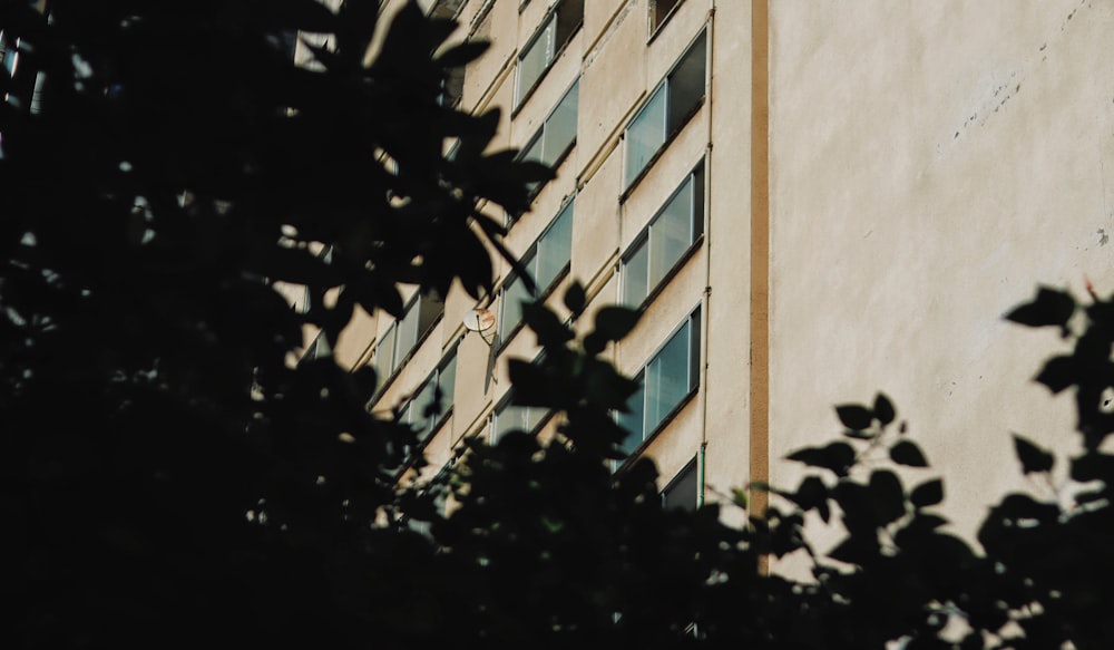 a building with a tree in front of it