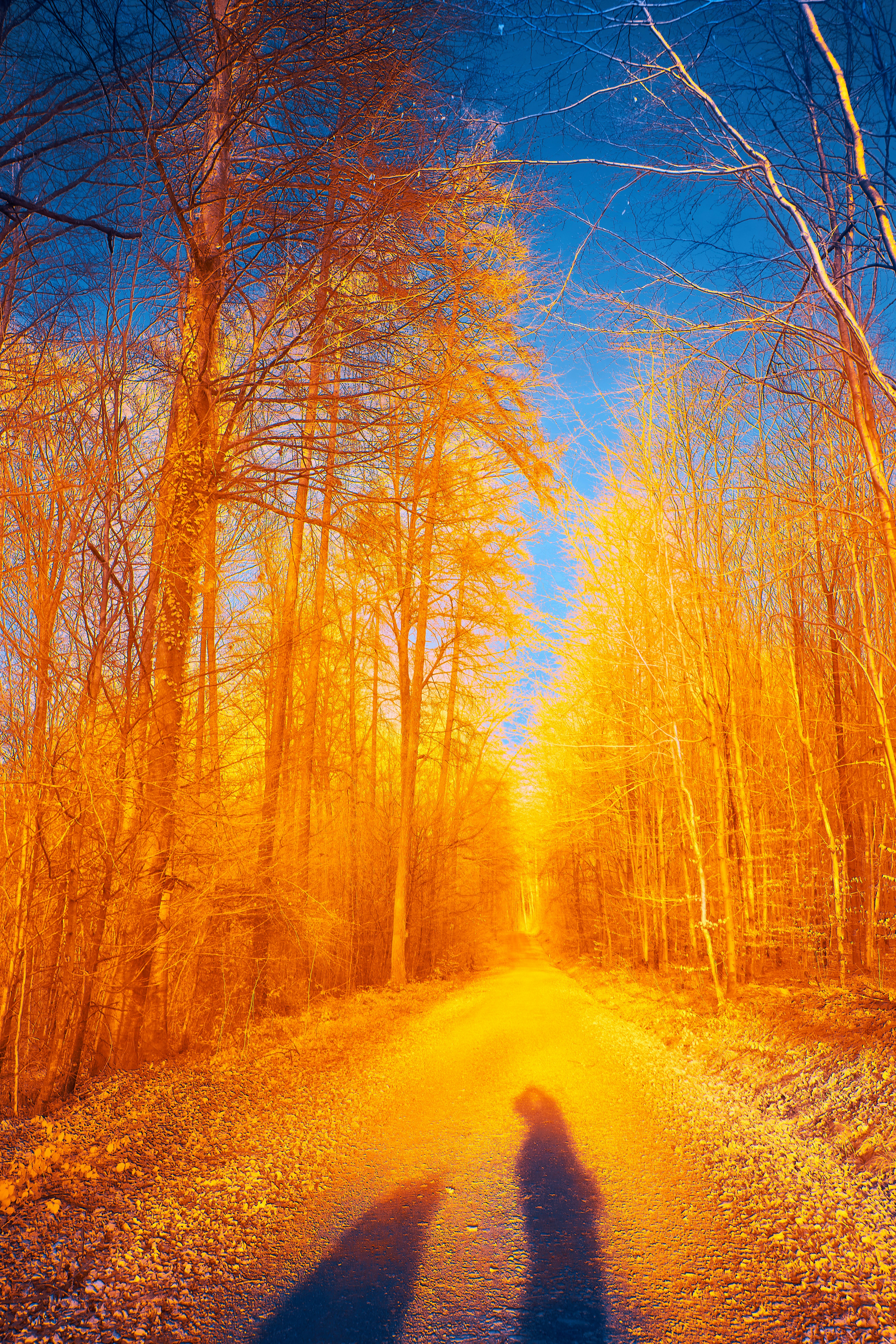 Photo by wolfgang_hasselmann