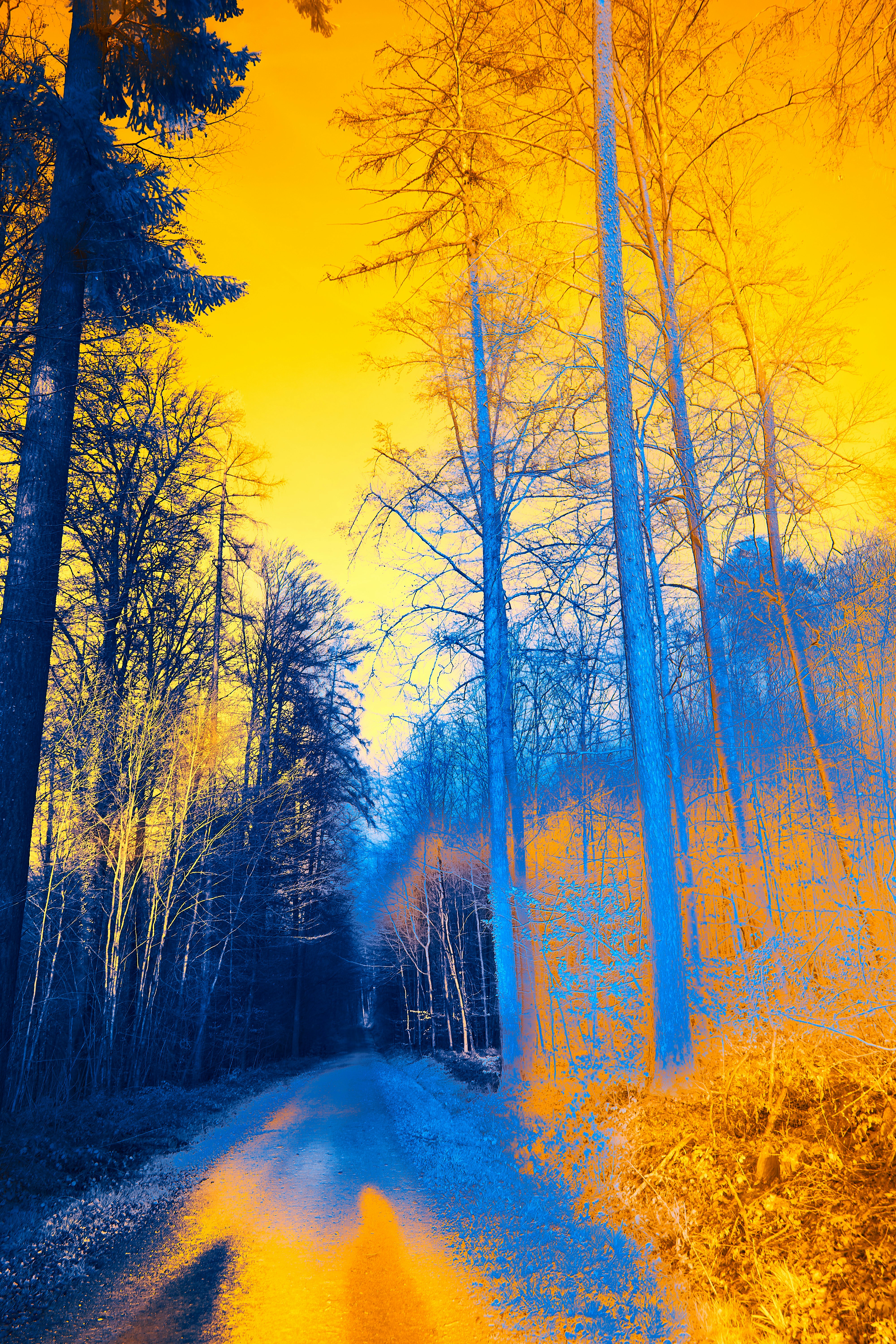 Photo by wolfgang_hasselmann