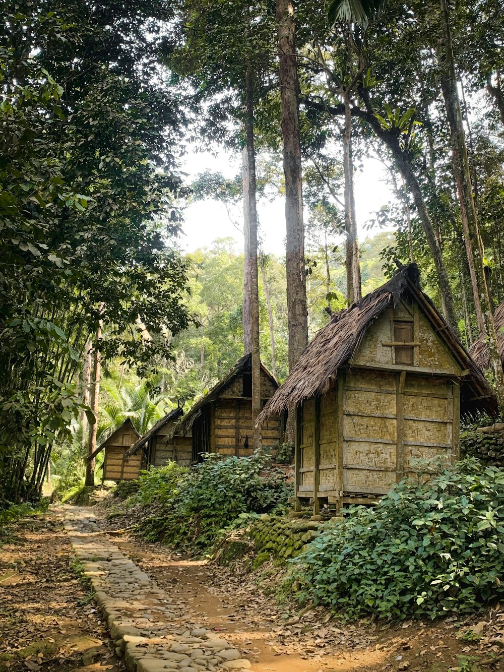 a log cabin in the woods