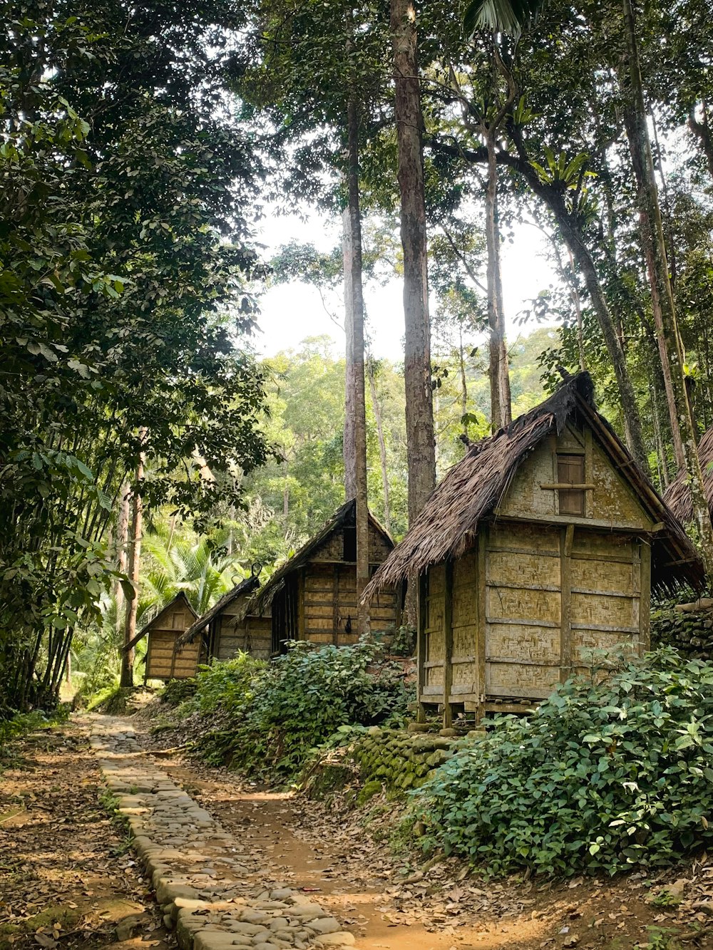 uma cabana de madeira na floresta