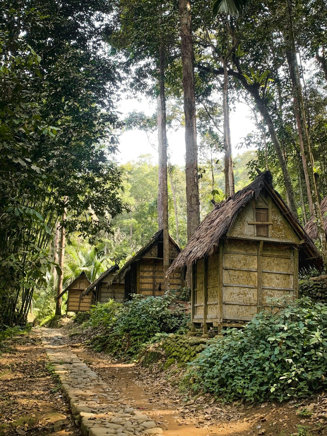 Natural landscape photo spot Kabupaten Lebak Ragunan