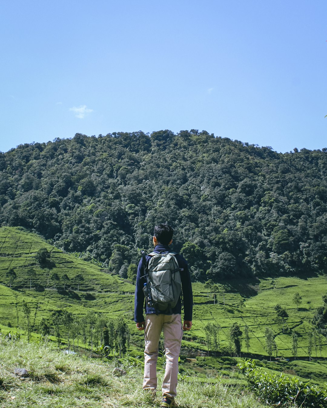 Mountain photo spot Bogor Gunung Parang