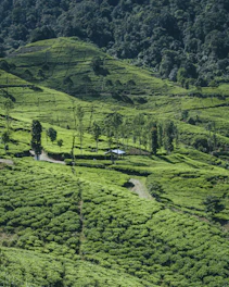 a house in a valley